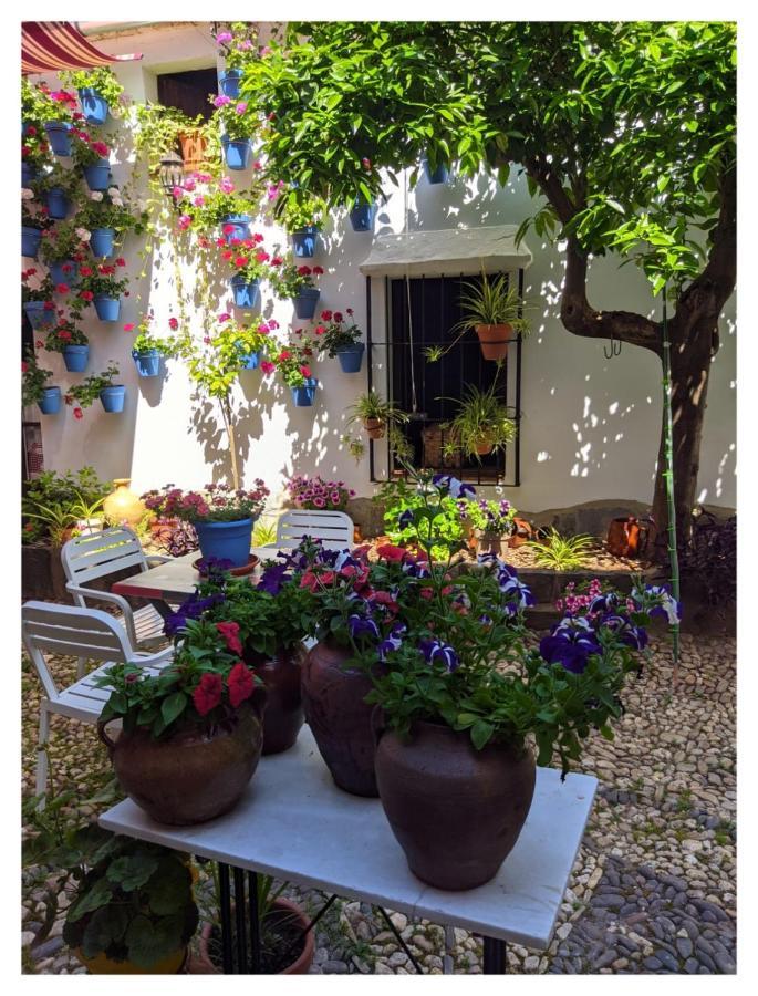 Casa Rural "Laplaza23" Herrera del Duque Esterno foto